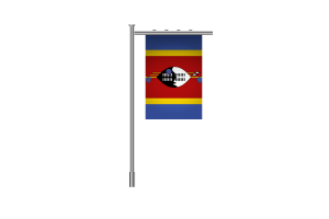 3d Eswatini Standing Flag flag