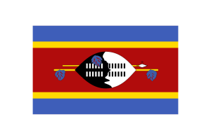 Eswatini Flag Triangle Vector Illustration flag