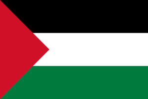 Flag of Palestine flag