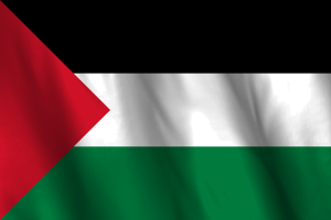 National Flag of Palestine flag