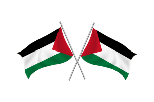 Palestine Waving Friendship Flag flag