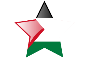 Palestine Flag Star Icon flag