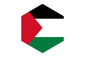 Palestine Flag Hexagon Shape flag