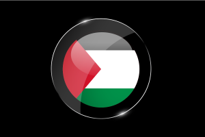 Palestine Flag Glossy Round Button flag