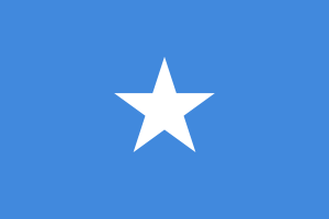 Flag of Somalia flag