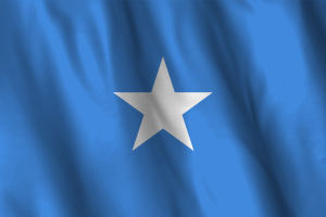 National Flag of Somalia flag