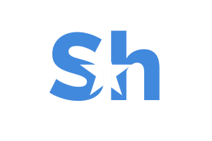 Somalia Currency icon flag