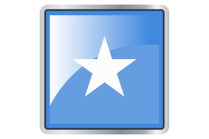 Somalia Flag Square icon flag