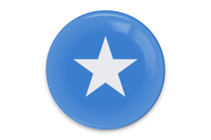 Somalia Flag Vector Art flag