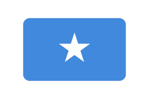 Somalia Flag Triangle Rounded Shape flag