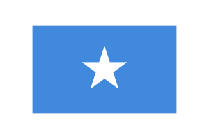 Somalia Flag Triangle Vector Illustration flag