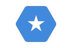 Somalia Flag Vector Illustration flag