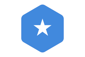 Somalia Flag Rounded Hexagon Shape flag