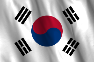 National Flag of South Korea flag