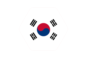South Korea Flag Vector Illustration flag