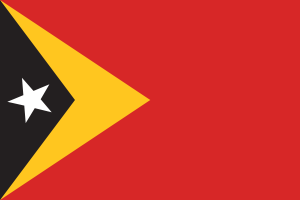 Flag of Timor-Leste flag