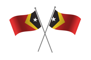 Timor-Leste Friendship Flag flag