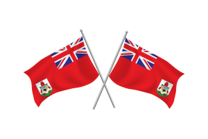 Bermuda Waving Friendship Flag flag