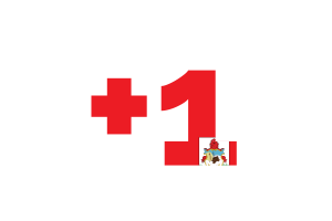 Bermuda Calling Code flag