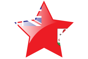 Bermuda Flag Star Icon flag