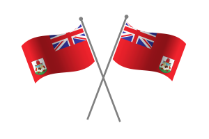 Bermuda Friendship Flag flag