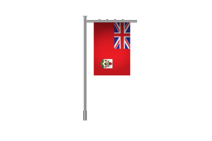 3d Bermuda Standing Flag flag