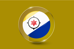 Bonaire Flag Glossy Round Button flag