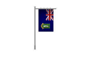 3d British Virgin Islands Standing Flag flag