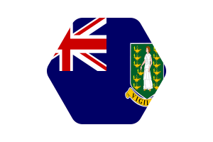 British Virgin Islands Flag Vector Illustration flag