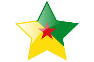 French Guiana Flag Star Icon flag