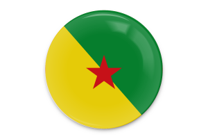 French Guiana Flag Vector Art flag