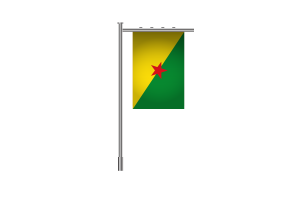 3d French Guiana Standing Flag flag