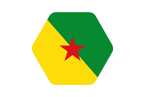 French Guiana Flag Vector Illustration flag