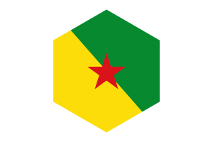 French Guiana Flag Hexagon Shape flag