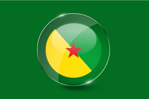 French Guiana Flag Glossy Round Button flag
