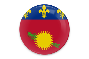 Guadeloupe Flagge Vektor Kunst flag