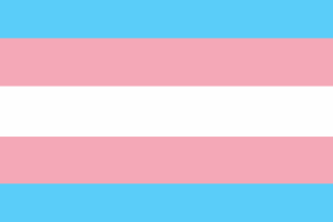 Drapeau des personnes transgenres flag
