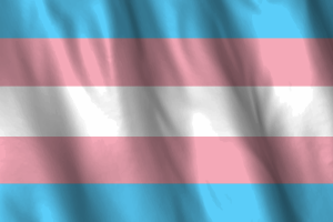 Drapeau national des personnes transgenres flag