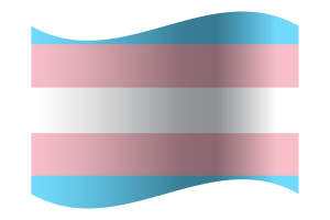 Drapeau transgenre flag