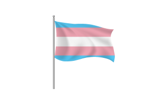 Symbole du drapeau transgenre flag