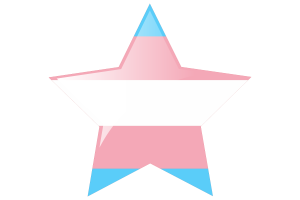 Icône étoile du drapeau transgenre flag