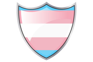 Écusson avec le drapeau des personnes transgenres flag