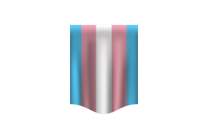 Bannière du drapeau transgenre flag