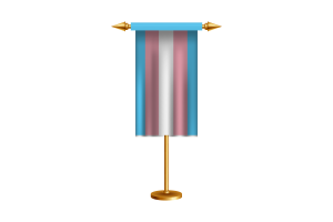 Drapeau cérémoniel transgenre vectoriel gratuit flag