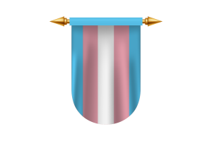 Images vectorielles du drapeau transgenre flag