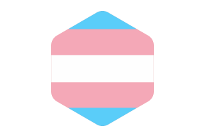 Drapeau transgenre forme hexagone arrondi flag