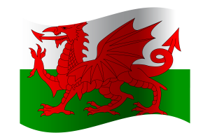 Wales Flagge flag
