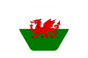 Wales-Flagge Vektorillustration flag