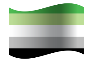 Drapeau aromantique flag