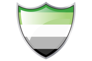 Bouclier avec le drapeau aromantique flag